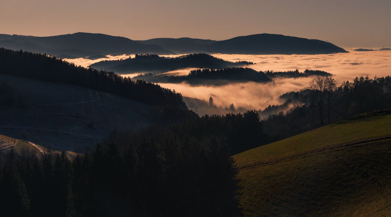 Black Forest Day Trips With Kids