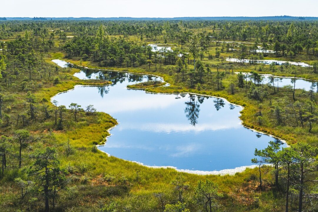 Estonia and Latvia - Nature Retreats with Real 5G Coverage