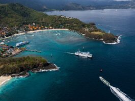 AAA Report Highlights Promising Future for Cruises by 2026