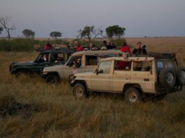 Kenya Tourism
