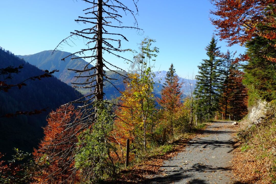 Malerweg Trail Hiking Guide