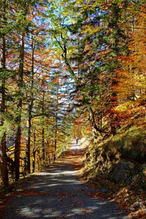 Malerweg Trail Hiking Guide