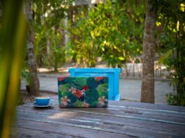 Southeast Asia for Remote Work