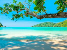 Trending Winter Destinations
