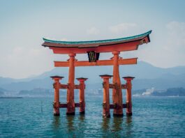 Princess Cruises Japan 2028 Summer Season